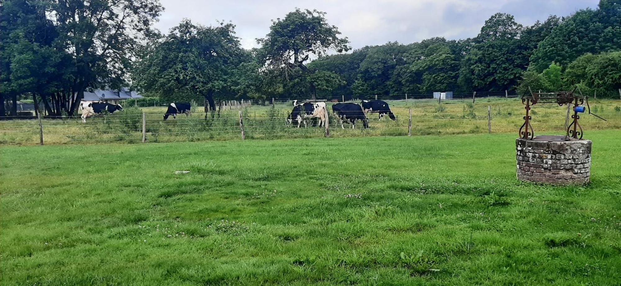Le Thuit - F2 Plain Pied Tout Equipe A La Ferme Charleval  Exterior photo